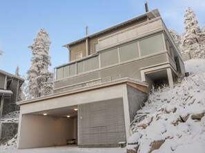 A modern two-story house with a garage, surrounded by snow-covered trees.