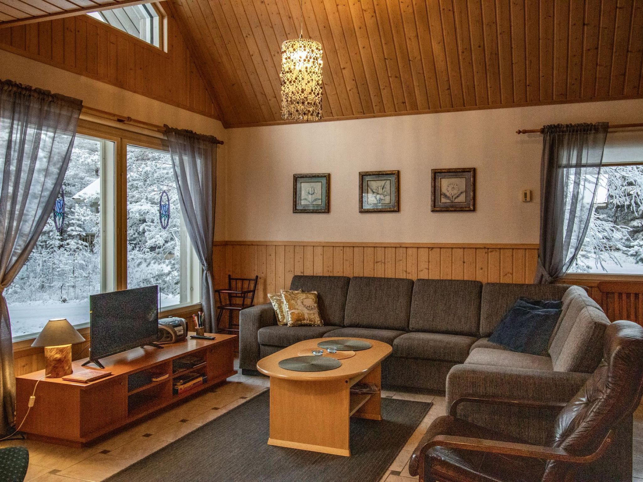 电视、DVD 播放器