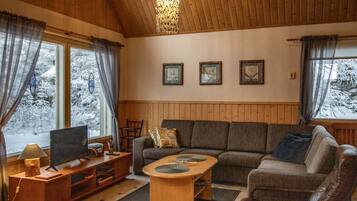 Televisio, DVD-soitin