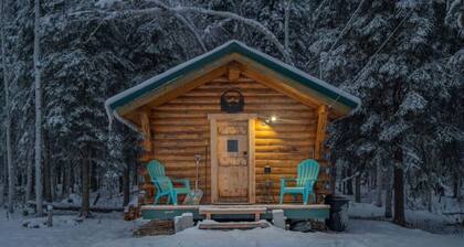 Studio Log Cabin | Aurora Views!