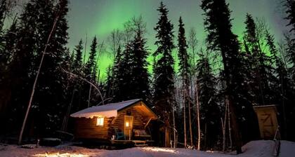 Studio Log Cabin | Aurora Views!