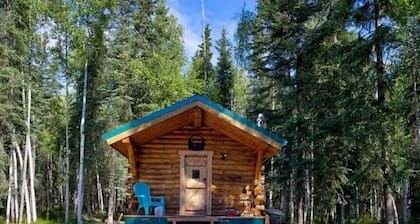 Studio Log Cabin | Aurora Views!