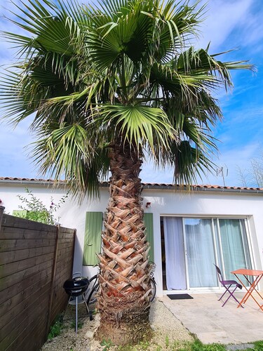 PALMIER *** studio with garden and parking