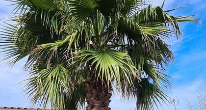 PALMIER *** studio with garden and parking