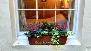 A window with a view of a room, a flower box with various plants, and a wall-mounted light fixture. - Beachfront Apartment With Woodburner & Courtyard (St Leonards-On-Sea)