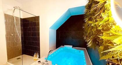 " Appartement Le Jungle SPA *** "
