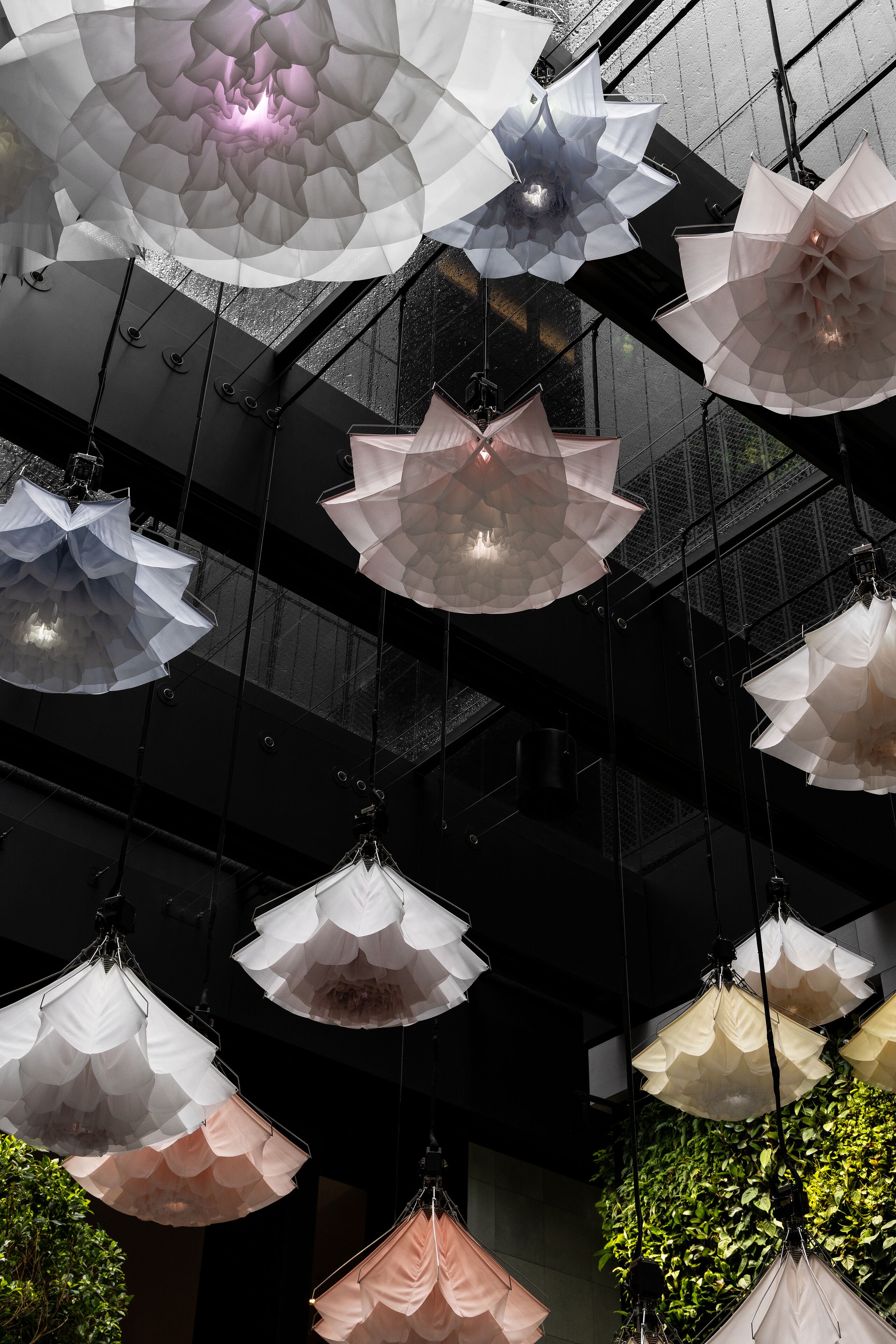 Hanging paper umbrellas in a modern interior space.