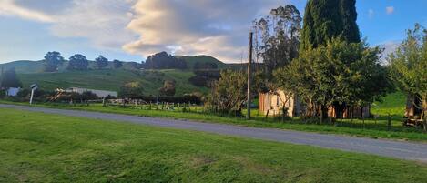 Paisaje rural con una carretera, campos verdes, un edificio de piedra y árboles altos.