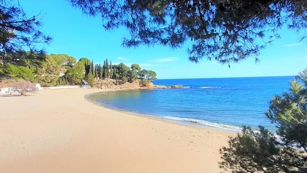 A beach with clear blue water, sandy shore, and trees in the background.