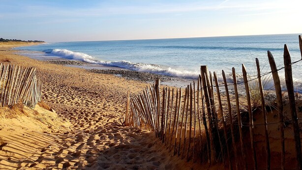 Une plage bordée de clôtures en bois, offrant une vue dégagée sur l’océan.