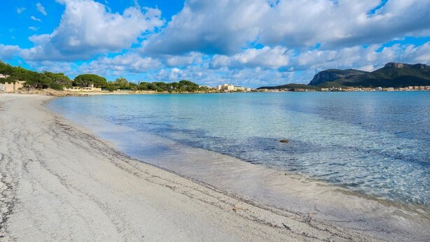 A beach with clear water, a sandy shore, and a town in the background. - APARTMENT WITH SEA VIEW VERANDA 5 MINUTES FROM THE BEACH (Golfo Aranci)