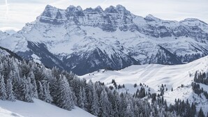 Un paysage montagneux enneigé, avec de vastes forêts à ses pieds.