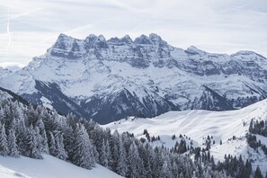 A snow-covered mountain landscape with dense forests at the base. - Chalet for 9 people 300m from the Petit-Chatel chairlift - Chatel Reservation (Châtel)