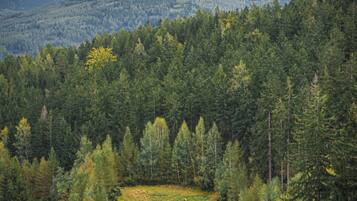 A mountainous landscape with a lake, forested area, and a clear sky.