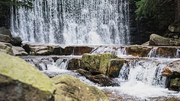 A waterfall cascading over rocks in a forested area.