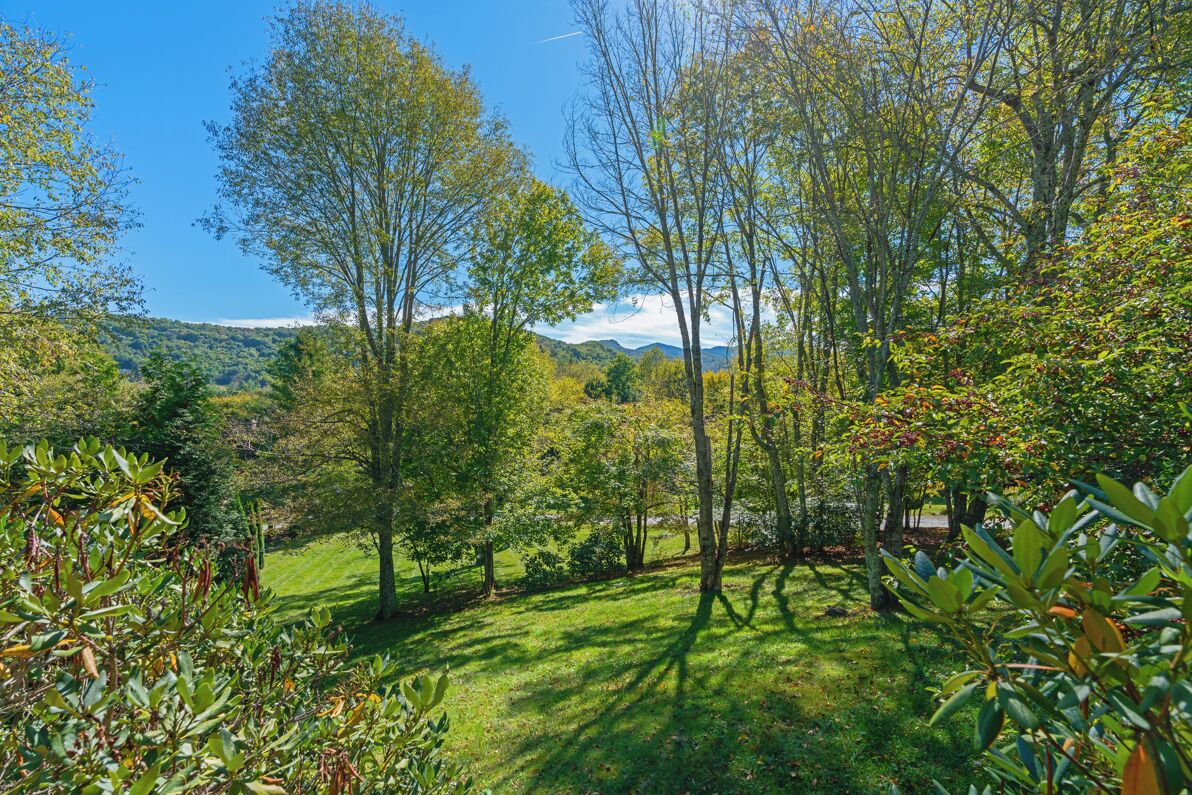 A lush garden with various trees and shrubs, a grassy area, and a distant view of hills.