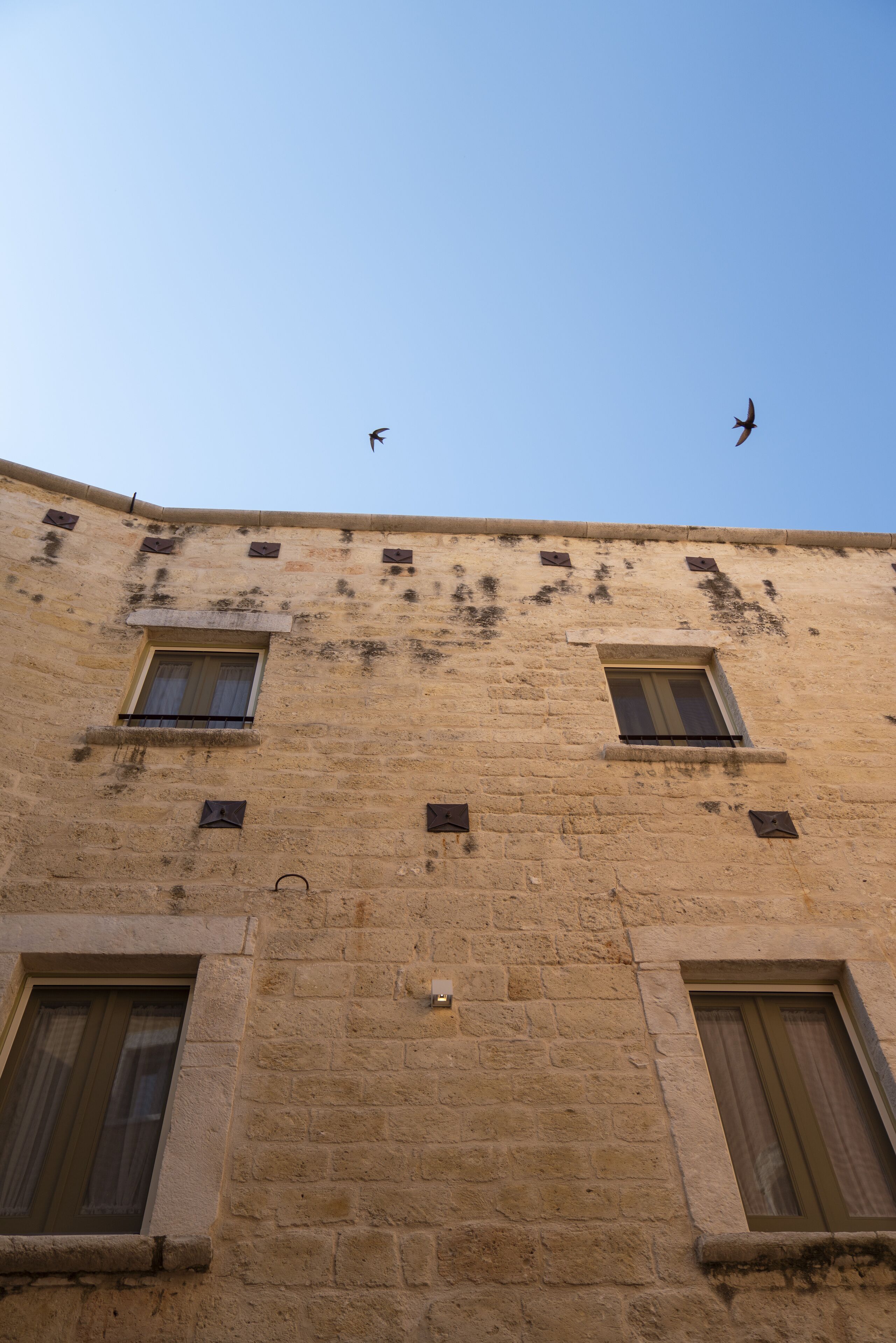 Un bâtiment doté de nombreuses fenêtres et d’un toit incurvé.