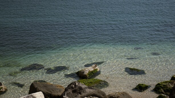 A clear view of a rocky shoreline with calm water. - Palazzo Vittoria (Bisceglie)