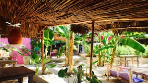 Espacio al aire libre con techo de paja, rodeado de exuberante vegetación y diversas plantas.