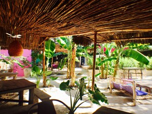 Serviço de almoço, vistas para a praia