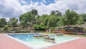A rectangular pool with a tiled border, surrounded by a paved area with flower planters.
