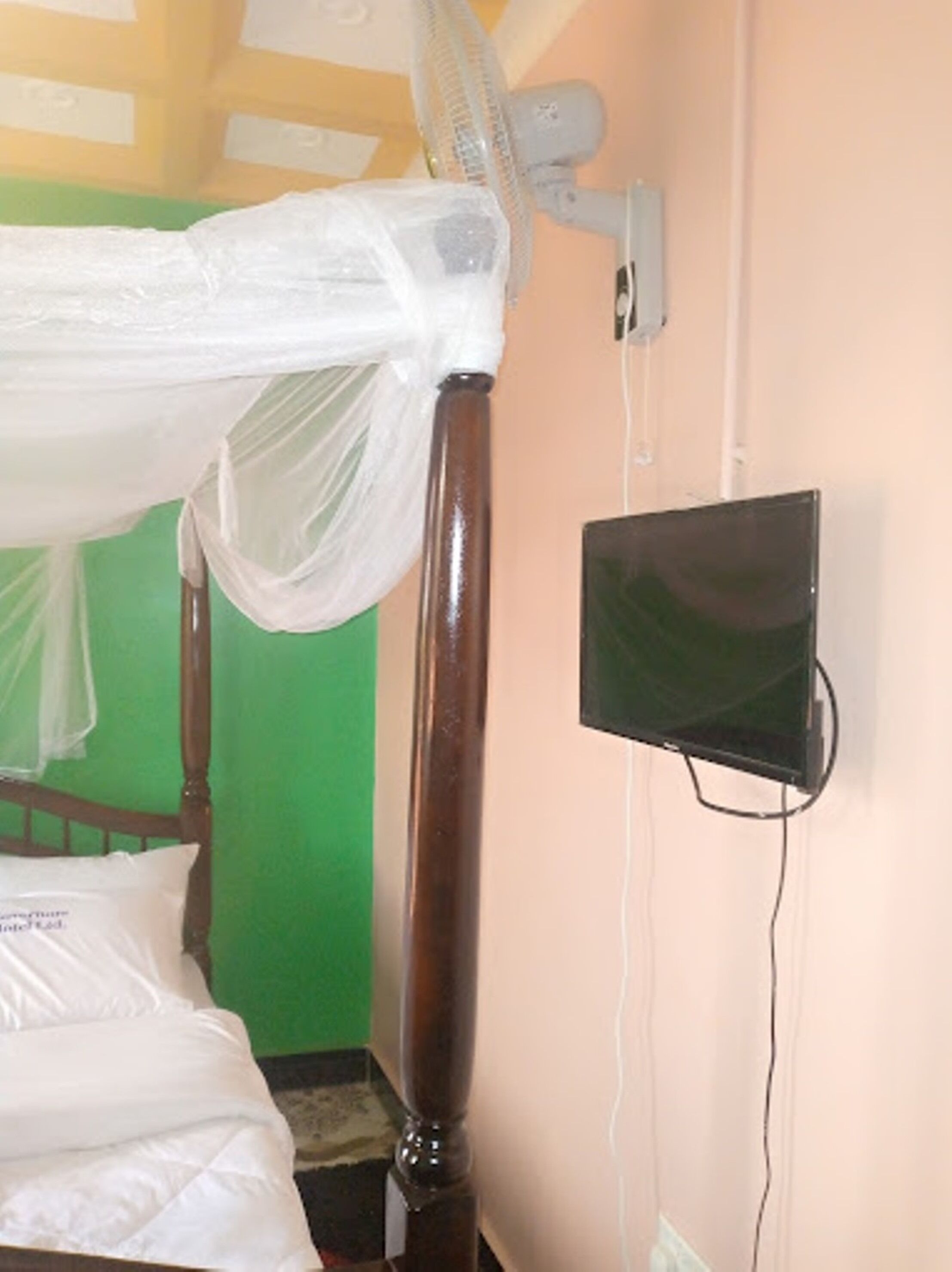 A bed with a mosquito net, a wall-mounted TV, and a green wall.