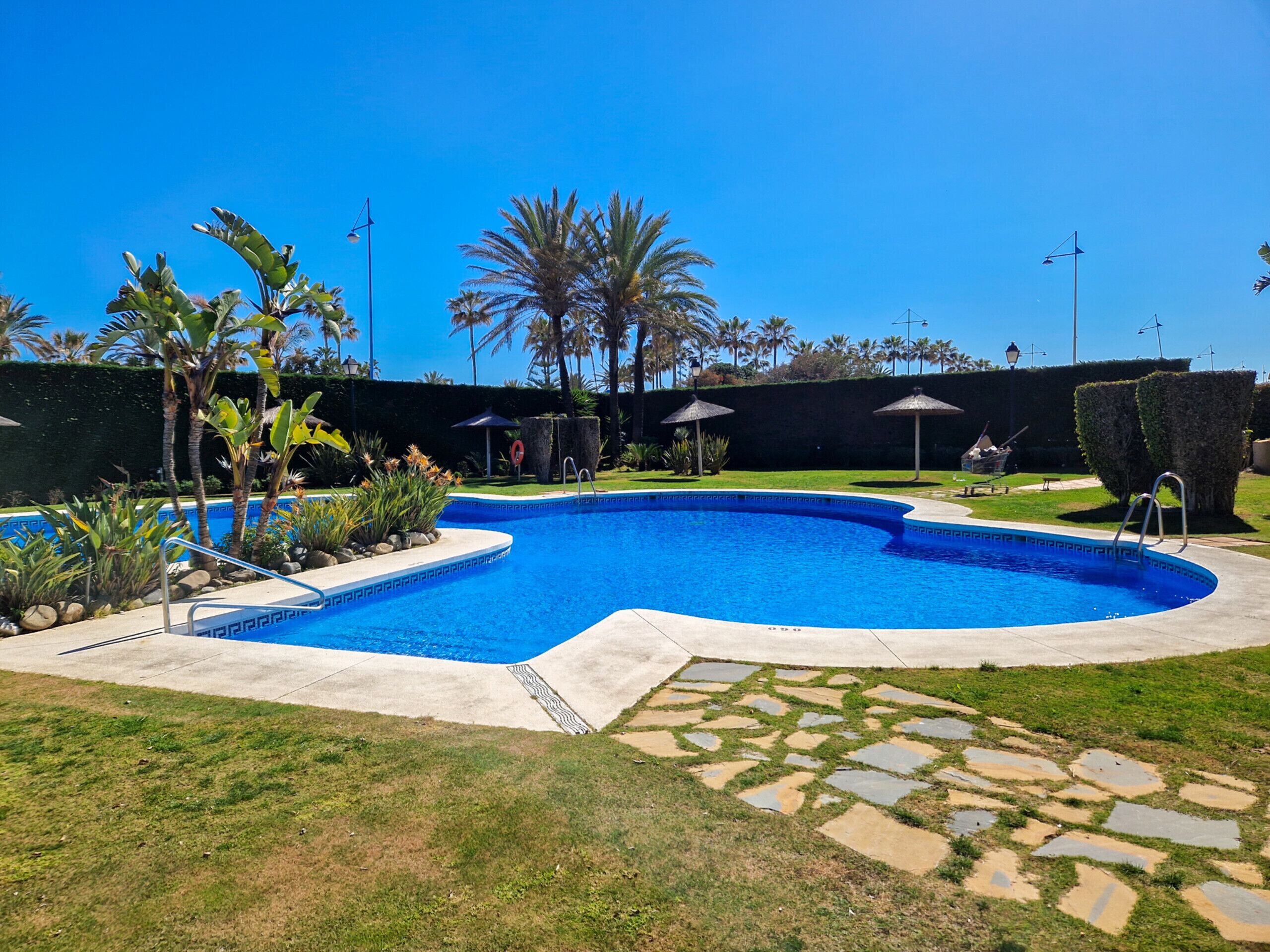A swimming pool with a stone border, surrounded by grass and palm trees.