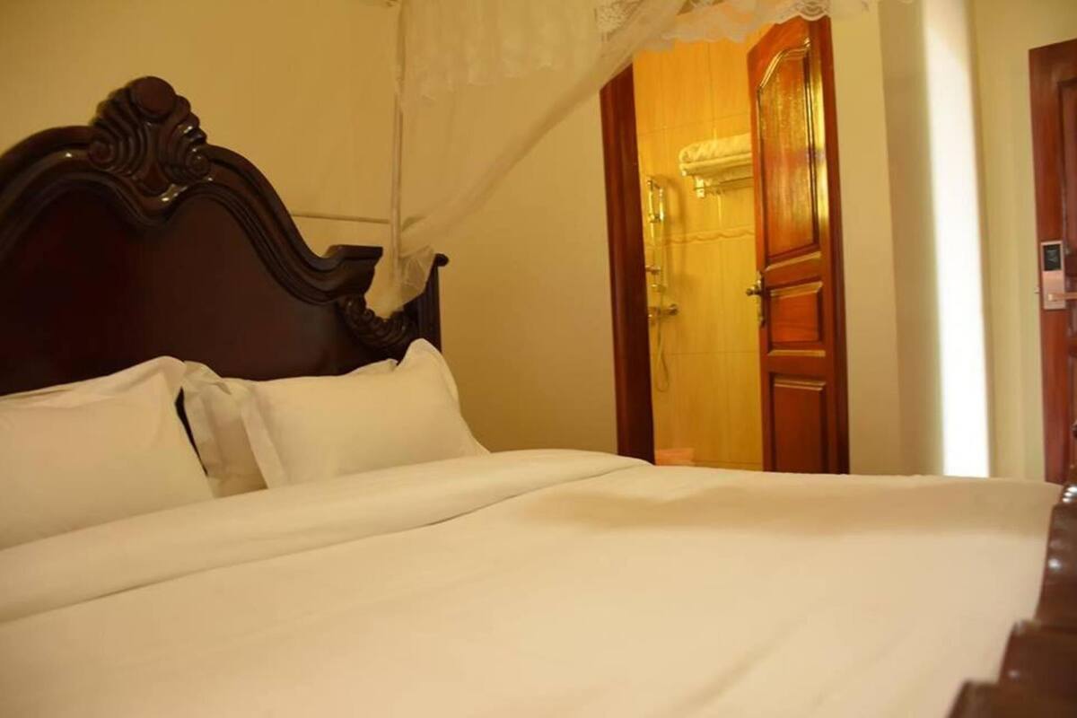 A bed with a canopy, a wooden door, and a wall with a light switch.