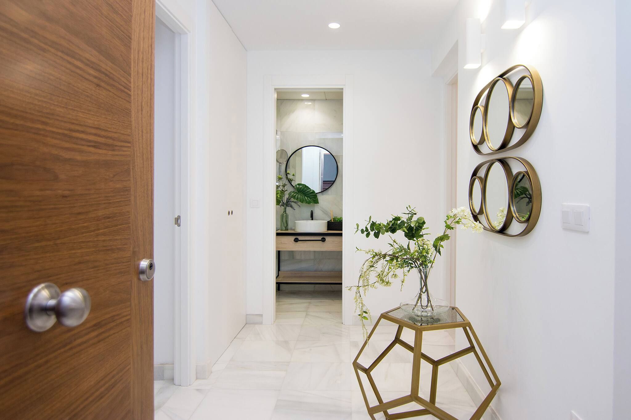 Un couloir avec une porte en bois, un vase aux motifs géométriques contenant une plante, et trois miroirs fixés au mur.