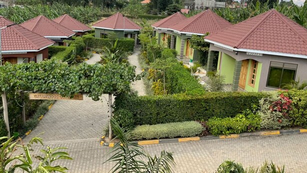 A row of green-roofed cottages with a paved pathway leading to a sign reading "Dreamwood." - Dream Wood Suites (Mbarara)