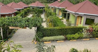 Dream Wood Suites