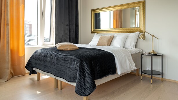 City Studio | Iron/ironing board, WiFi (free) - 10th floor studio with a great location (Tampere)