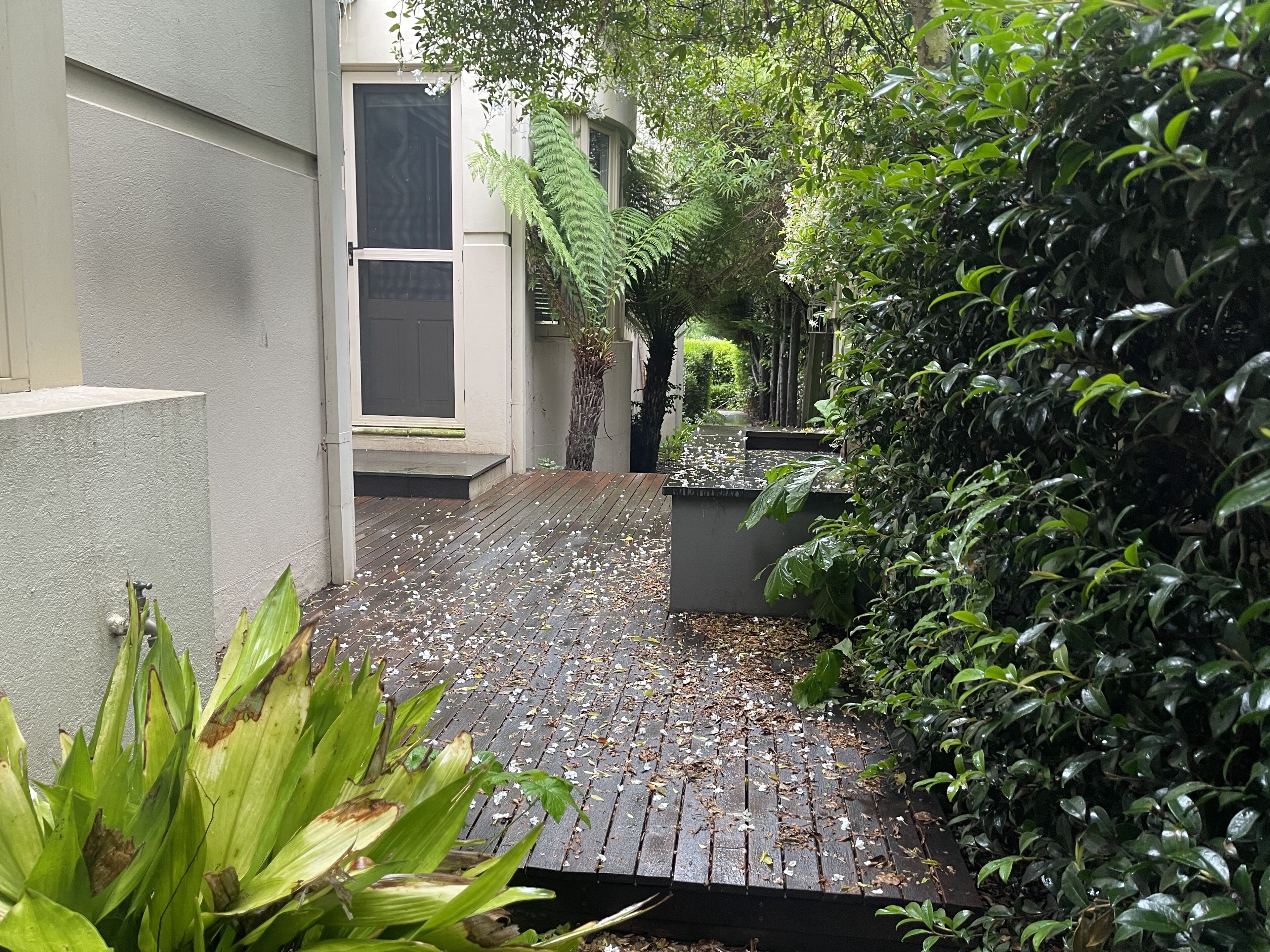 A narrow pathway flanked by lush greenery and a building with a modern design.