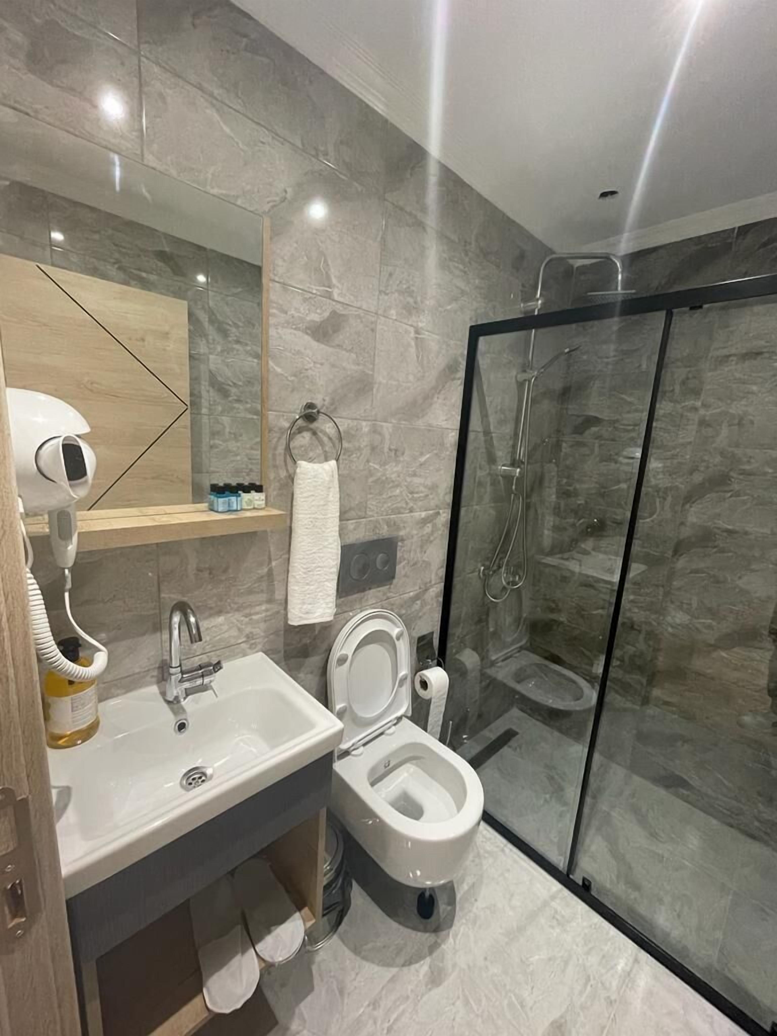 Standard Double or Twin Room | Bathroom | Shower, hair dryer, towels, soap