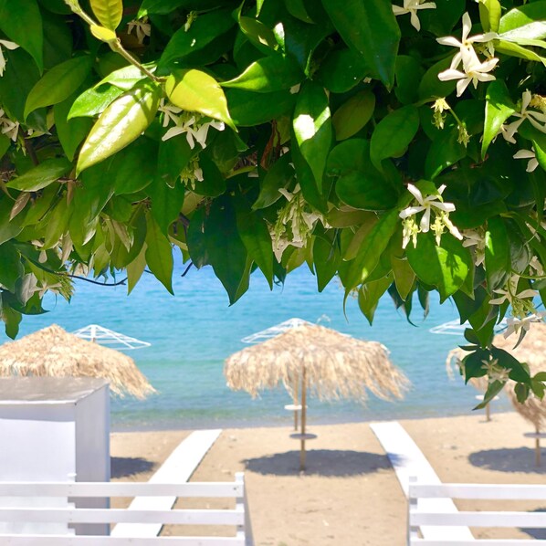 Plage privée, chaises longues, parasols, serviettes de plage