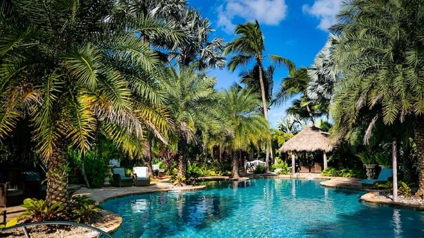 A clear blue pool surrounded by lush palm trees and a thatched-roof structure.