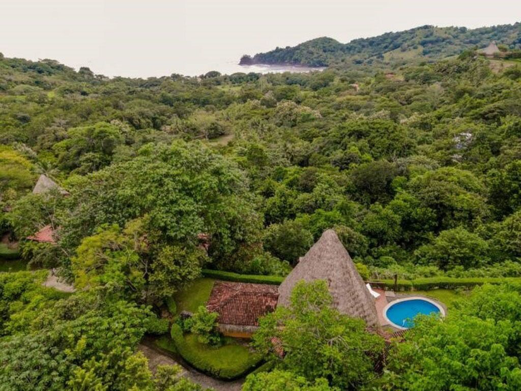 Un paisaje exuberante y verde con una estructura de techo de paja y una piscina.