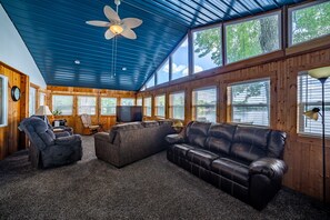 TV, books, stereo, computer monitors