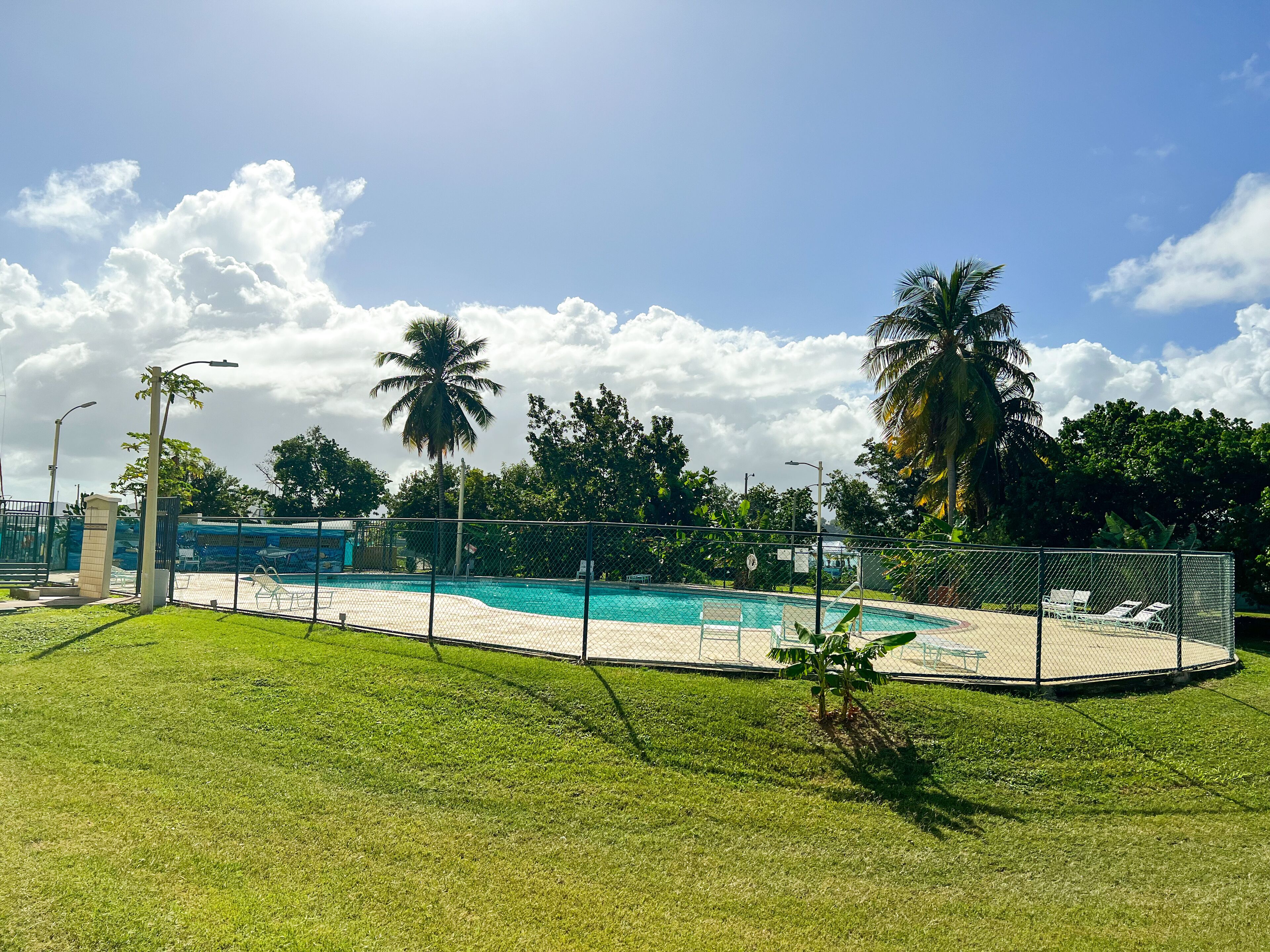 Una piscina circondata da una recinzione, con una zona erbosa in primo piano e palme sullo sfondo.