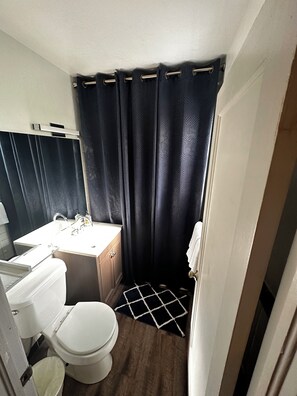Chuveiro, secador de cabelo, toalhas de banho, shampoo