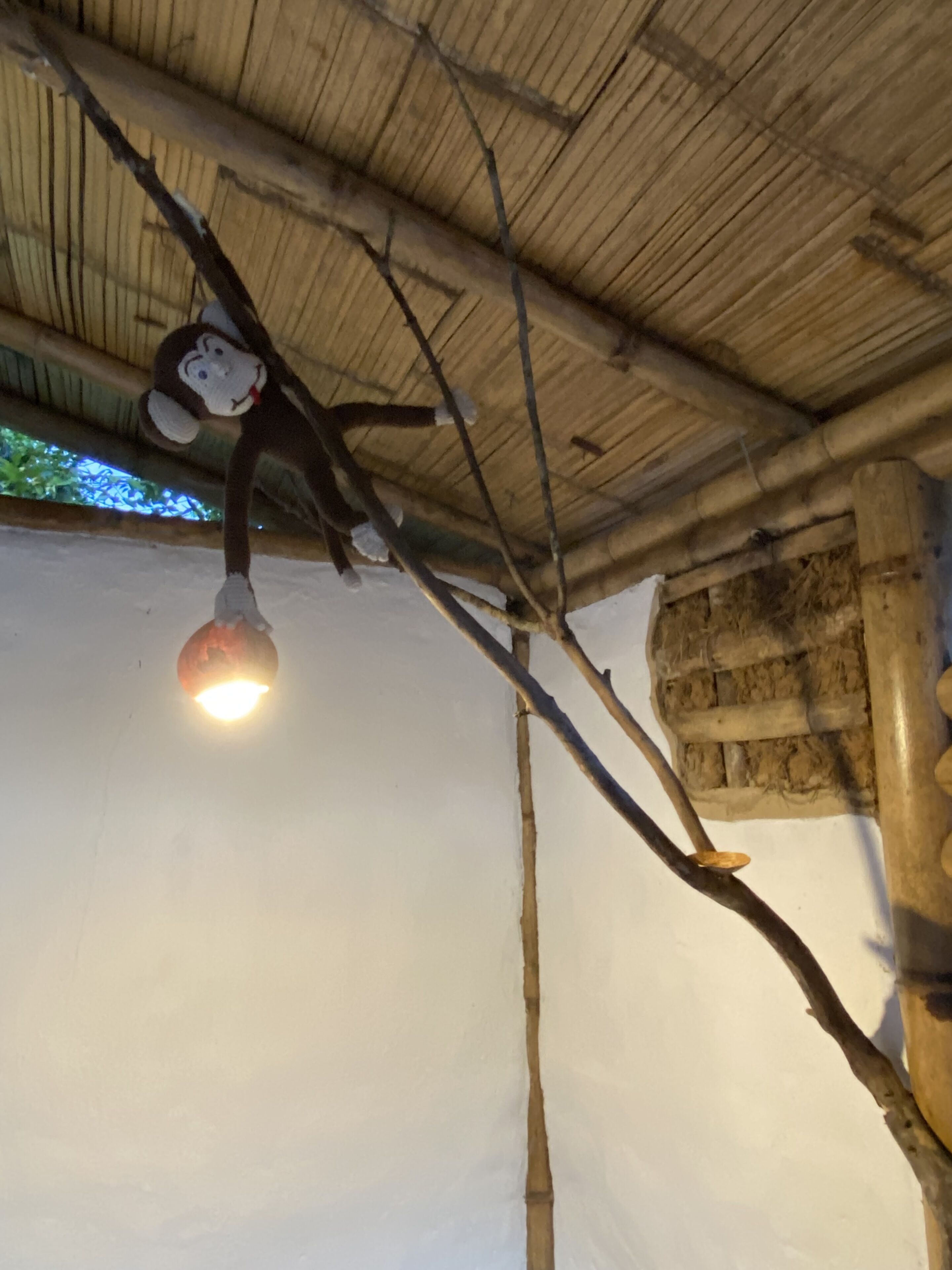 A ceiling with a hanging light fixture and a branch with a monkey figure.