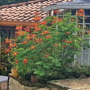 Terrain de lâhĂ©bergement