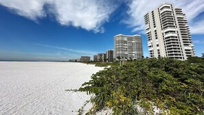A beachfront hotel with a curved building, a sandy beach, and a clear blue sky. - Beachfront Condo available on a Monthly Basis Only (Marco Island)