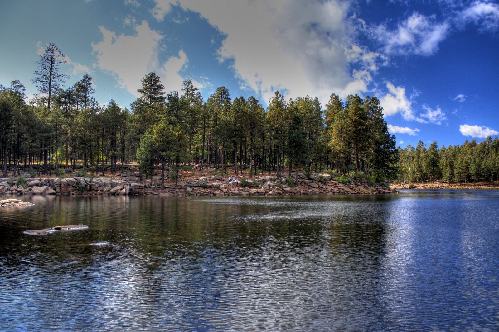 A calm lake surrounded by dense forest with a rocky shoreline and a clear sky.