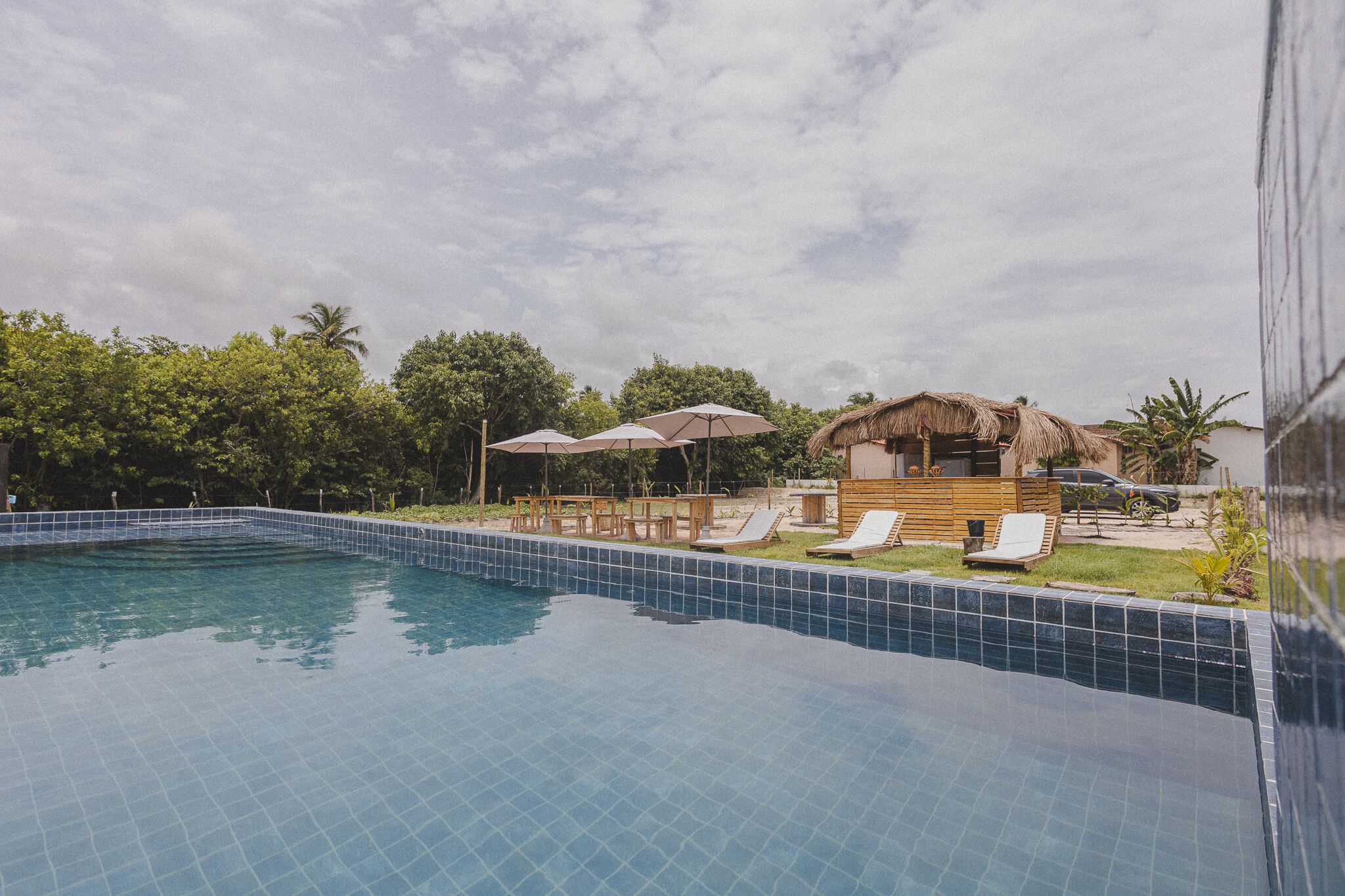 Una piscina con bordes de azulejos, sillas de descanso, una estructura de techo de paja y follaje circundante.