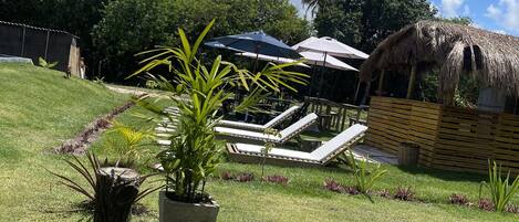 Un espace verdoyant avec des chaises longues, une structure à toit de chaume et des plantes en pot.