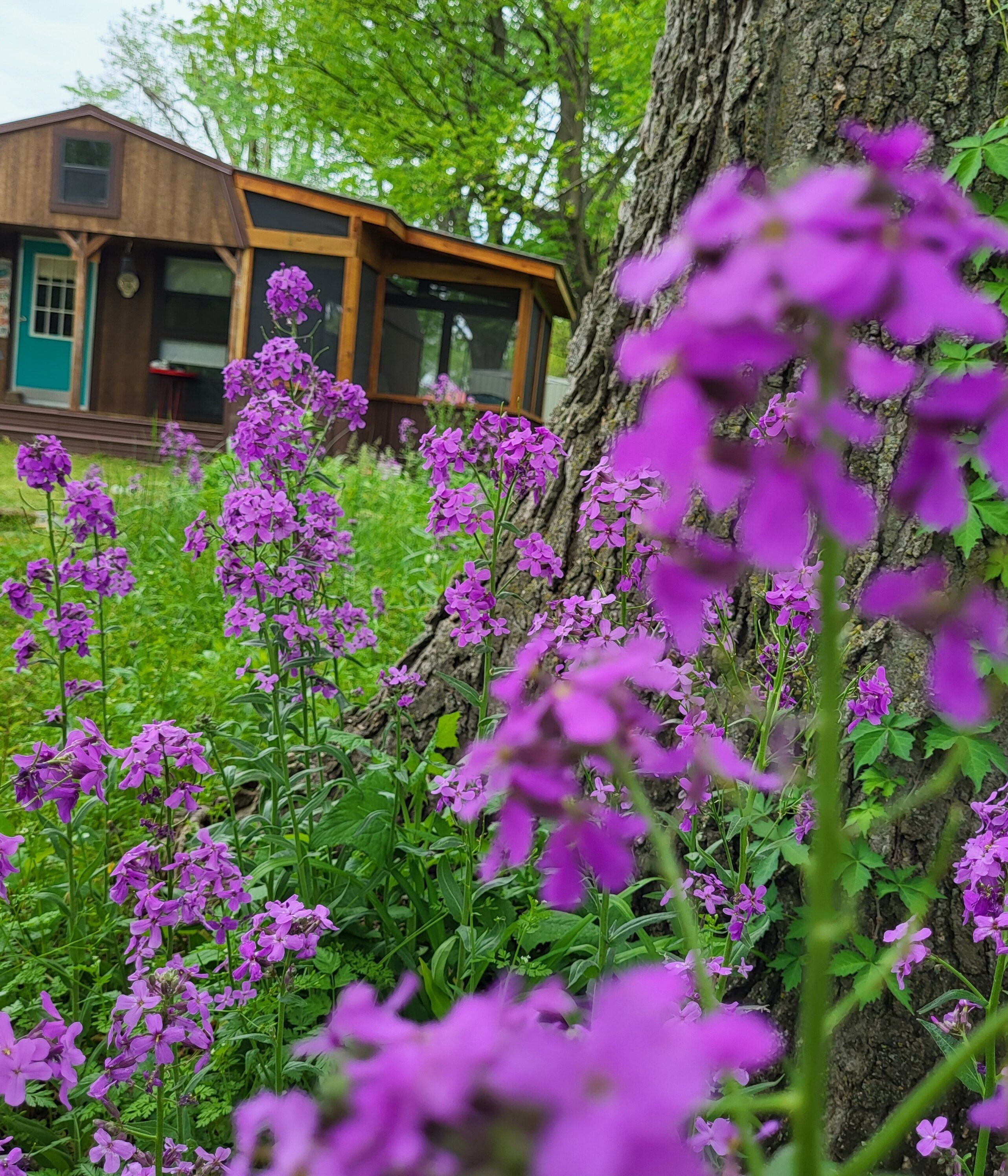 The Flip Flop House