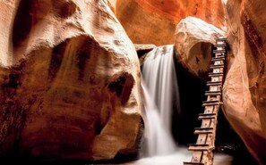 Point of interest - Spring Time Adventures! (Cedar City)