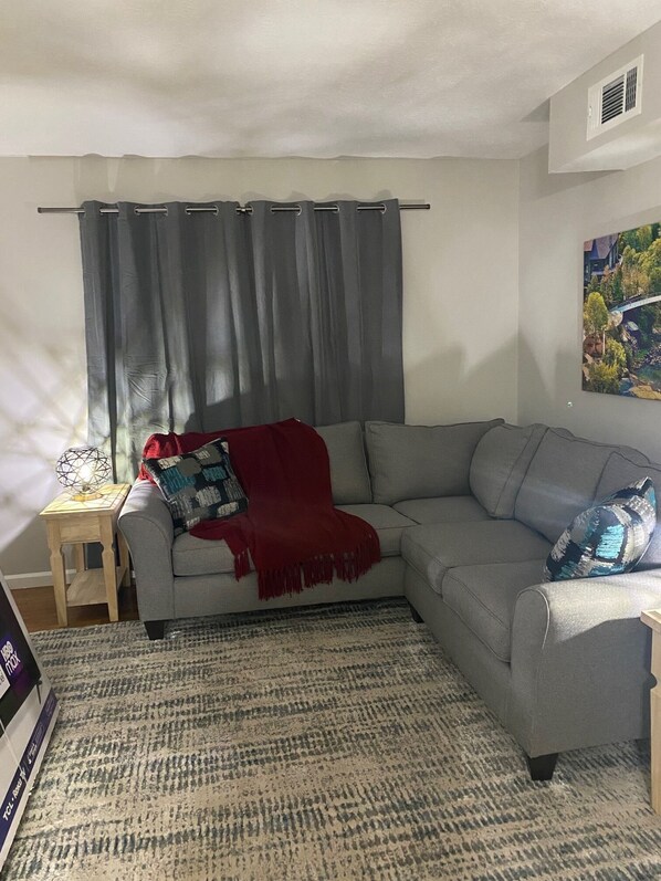 A living room with a grey sofa, a red throw blanket, and a patterned rug.