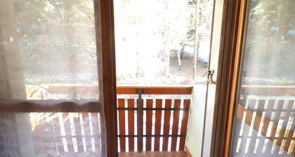 FOUX D'ALLOS MEZZANINE STUDIO 28M2